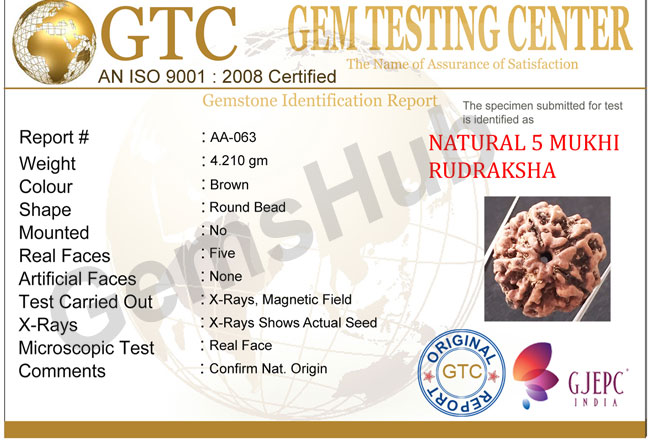5 Mukhi Natural Certified Rudraksha Size- 21.4 mm Premium